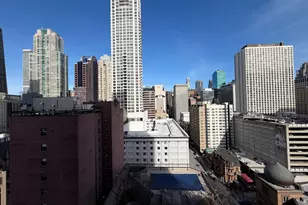 [Address not provided], Chicago, IL 60611 - Photo 9