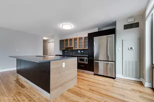 2 E Erie St, Chicago, IL 60611 - Photo 11