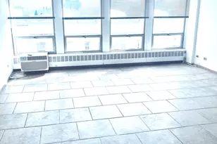 1450 E 55th Pl, Chicago, IL 60637 - Photo 3