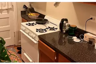 3815 N Greenview Ave, Chicago, IL 60613 - Photo 5