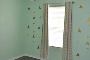 169 Springbrook Trail S, Oswego, IL 60543 - Photo 17