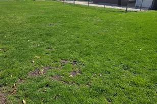 494 N Ellsworth Ave, Villa Park, IL 60181 - Photo 39