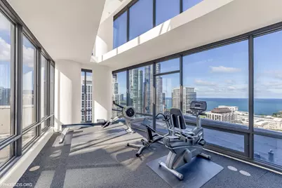 100 E 14th Street #903, Chicago, IL 60605 - Photo 21