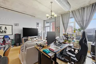 50 E 16th St, Chicago, IL 60616 - Photo 13