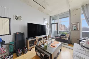 50 E 16th St, Chicago, IL 60616 - Photo 9