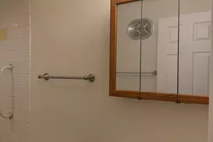 77 W Central Ave, Roselle, IL 60172 - Photo 9