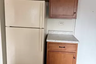 77 W Central Ave, Roselle, IL 60172 - Photo 7