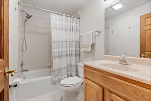 407 S Oak Park Ave, Oak Park, IL 60302 - Photo 19