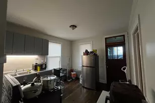 8242 S Houston Ave, Chicago, IL 60617 - Photo 9