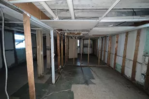 8242 S Houston Ave, Chicago, IL 60617 - Photo 21