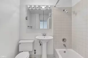 1355 N Sandburg Terrace, Chicago, IL 60610 - Photo 13