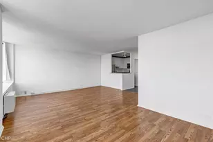 1355 N Sandburg Terrace, Chicago, IL 60610 - Photo 7