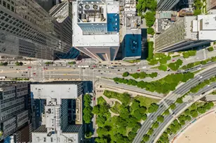 1000 N Lake Shore Plaza, Chicago, IL 60611 - Photo 39