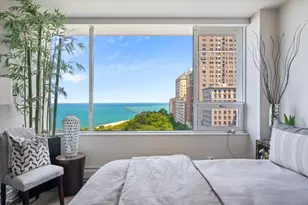 1000 N Lake Shore Plaza, Chicago, IL 60611 - Photo 17