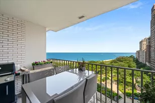 1000 N Lake Shore Plaza, Chicago, IL 60611 - Photo 7