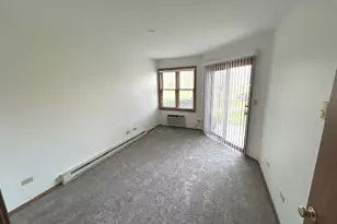 1345 Cunat Ct, Lake in the Hills, IL 60156 - Photo 9