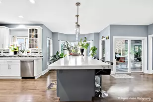 701 Caitlin Ct, Grayslake, IL 60030 - Photo 17