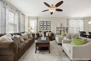 253 Bluegrass Pkwy, Oswego, IL 60543 - Photo 3