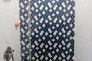 7931 S Paxton Ave, Chicago, IL 60617 - Photo 11