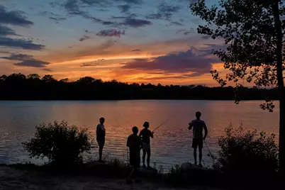 33 Shoreline Road #B, Lake Barrington, IL 60010 - Photo 31