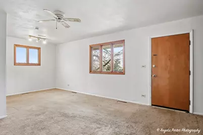 322 S Seymour Avenue, Mundelein, IL 60060 - Photo 3