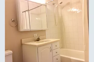 133 N Woodlawn Street, Wheaton, IL 60187 - Photo 9