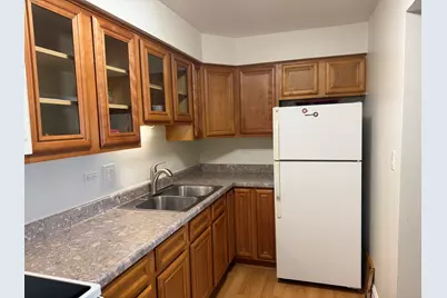 703 W Central Road #1C8, Mount Prospect, IL 60056 - Photo 5