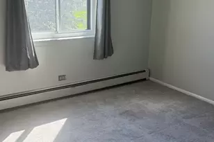 811 S Dwyer Ave, Arlington Heights, IL 60005 - Photo 19