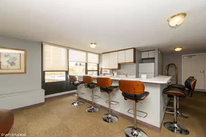 1313 N Ritchie Court #2403, Chicago, IL 60610 - Photo 15