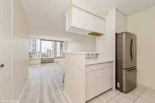 1313 N Ritchie Ct, Chicago, IL 60610 - Photo 7