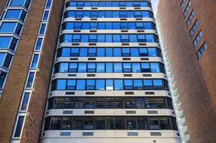 221 E Walton Pl, Chicago, IL 60611 - Photo 1