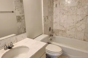 221 E Walton Pl, Chicago, IL 60611 - Photo 11