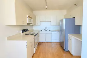 221 E Walton Pl, Chicago, IL 60611 - Photo 7
