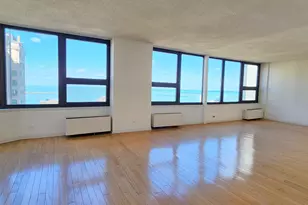 221 E Walton Pl, Chicago, IL 60611 - Photo 5