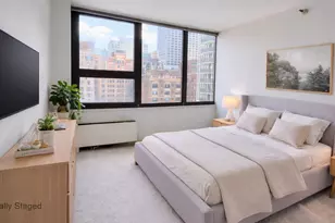 221 E Walton Pl, Chicago, IL 60611 - Photo 9