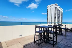 221 E Walton Pl, Chicago, IL 60611 - Photo 15