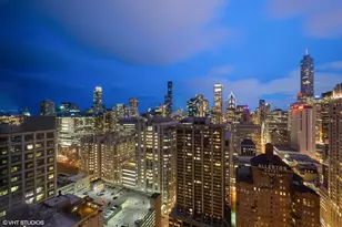 161 E Chicago Ave, Chicago, IL 60611 - Photo 19