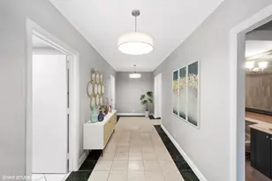 161 E Chicago Ave, Chicago, IL 60611 - Photo 9