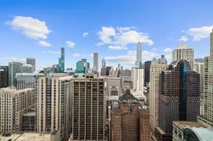 161 E Chicago Ave, Chicago, IL 60611 - Photo 17