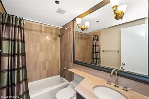 161 E Chicago Ave, Chicago, IL 60611 - Photo 15