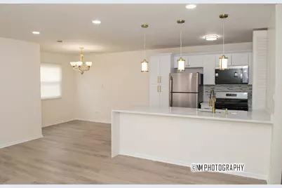 20118 Willow Drive #D, Lynwood, IL 60411 - Photo 3