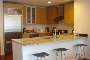 240 E Illinois St, Chicago, IL 60611 - Photo 5