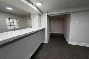 12253 S Peoria St, Chicago, IL 60643 - Photo 31