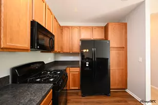 2225 Aurora Dr, Pingree Grove, IL 60140 - Photo 11