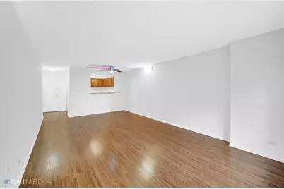 801 S Plymouth Court #505, Chicago, IL 60605 - Photo 3