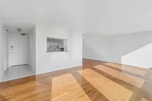 111 E Chestnut St, Chicago, IL 60611 - Photo 9