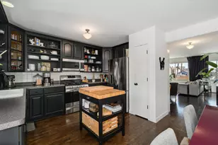 550 W 45th St, Chicago, IL 60609 - Photo 13