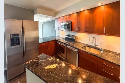 300 N State Street #3008, Chicago, IL 60654 - Photo 9