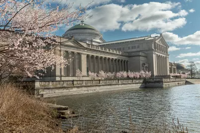 1700 E 56th Street #1708, Chicago, IL 60637 - Photo 21