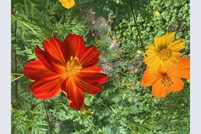 8911 Ramble Road, Wonder Lake, IL 60097 - Photo 27